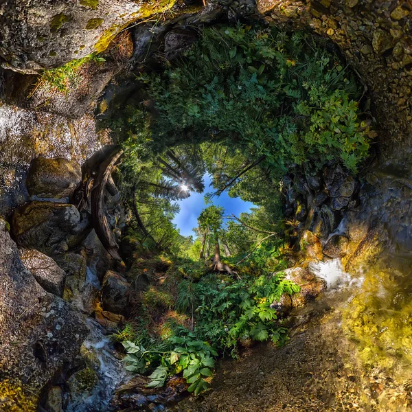 Spherical panorama Tree of life spiral made of water and stones