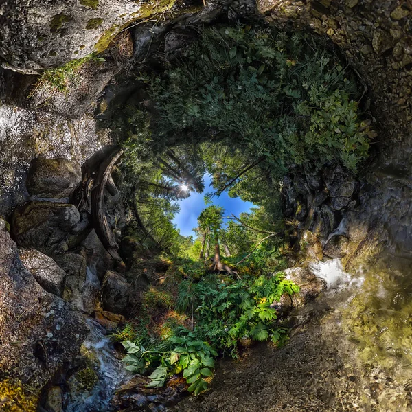 Panorama sphérique Arbre de vie spirale faite d'eau et de pierres — Photo