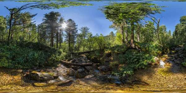 Küresel panorama 360 180 dereye yoğun bir yeşil orman