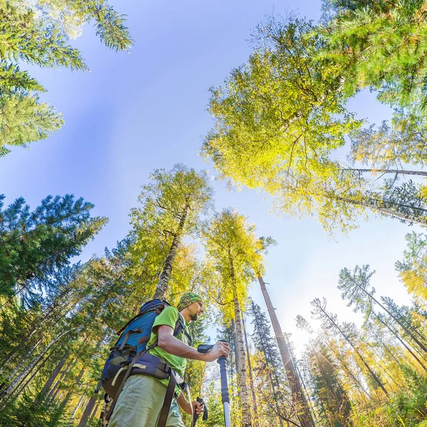 Taş Ormanı yürürken bir sırt çantası ile turizm — Stok fotoğraf