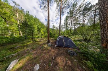 Ormanda kamp üzerinde geniş panorama çadır