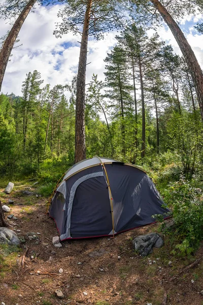Aventures Camping et tente sous la pinède en plein air à mor — Photo