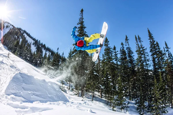Snowboard freerider orman ve dağlar bir arka plan üzerinde bir kar rampa güneşin üzerinden atlama