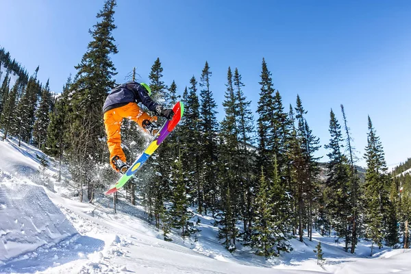Snowboard freerider orman ve dağlar bir arka plan üzerinde bir kar rampa güneşin üzerinden atlama