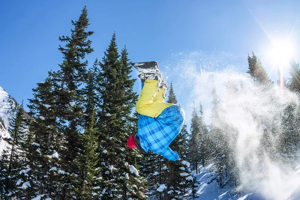 Snowboard freerider orman ve dağlar bir arka plan üzerinde bir kar rampa güneşin üzerinden atlama