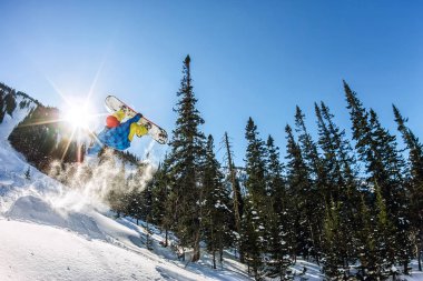 Snowboard freerider orman ve dağlar bir arka plan üzerinde bir kar rampa güneşin üzerinden atlama