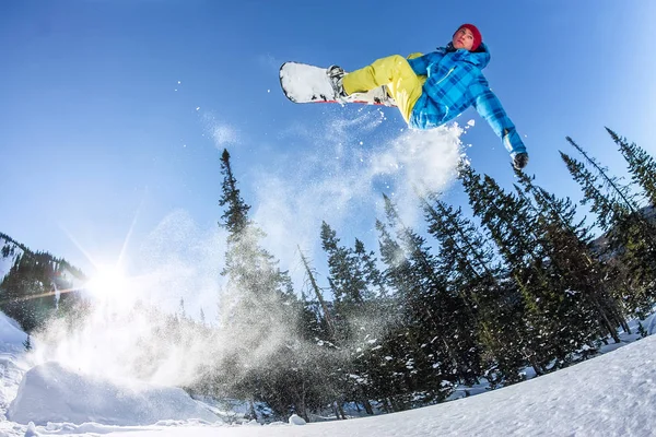 Snowboarder freerider pulando de uma rampa de neve ao sol em um fundo de floresta e montanhas — Fotografia de Stock