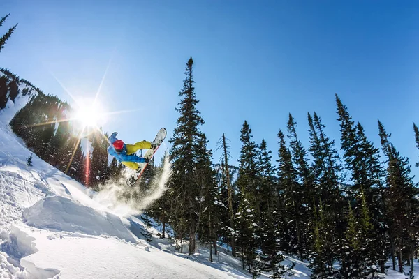 Snowboarder freerider pulando de uma rampa de neve ao sol em um fundo de floresta e montanhas — Fotografia de Stock