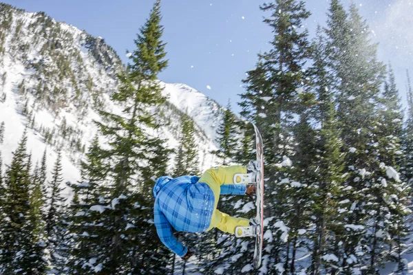 Snowboard freerider orman ve dağlar bir arka plan üzerinde bir kar rampa güneşin üzerinden atlama