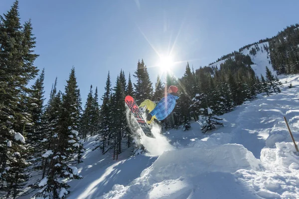 Snowboarder freerider saltare da una rampa di neve al sole su uno sfondo di foresta e montagne — Foto Stock