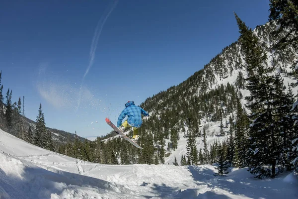 Snowboarder freerider ugrás egy hó rámpa a nap a erdő és hegyek a háttérben — Stock Fotó