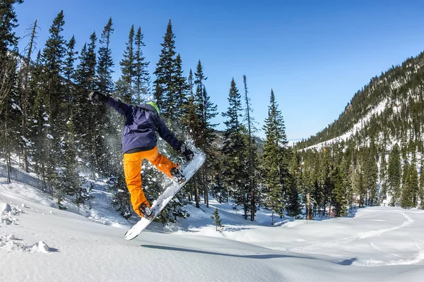 Snowboarder freerider pulando de uma rampa de neve ao sol em um fundo de floresta e montanhas — Fotografia de Stock