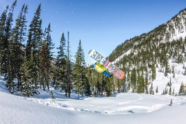 Snowboarder freerider pulando de uma rampa de neve ao sol em um fundo de floresta e montanhas — Fotografia de Stock