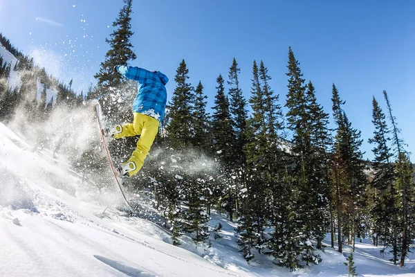 Snowboarder freerider saltare da una rampa di neve al sole su uno sfondo di foresta e montagne — Foto Stock