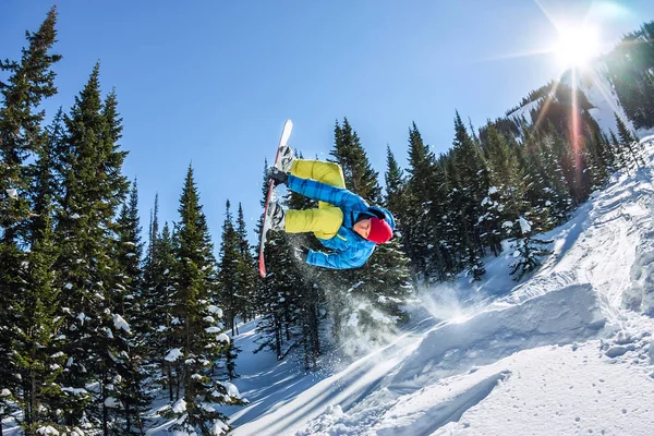 Snowboarder freerider pulando de uma rampa de neve ao sol em um fundo de floresta e montanhas — Fotografia de Stock