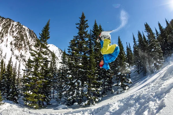 Snowboarder freerider saltare da una rampa di neve al sole su uno sfondo di foresta e montagne — Foto Stock