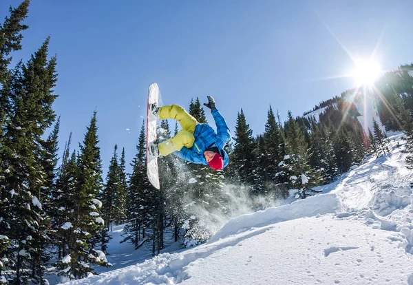 Snowboarder freerider pulando de uma rampa de neve ao sol em um fundo de floresta e montanhas — Fotografia de Stock