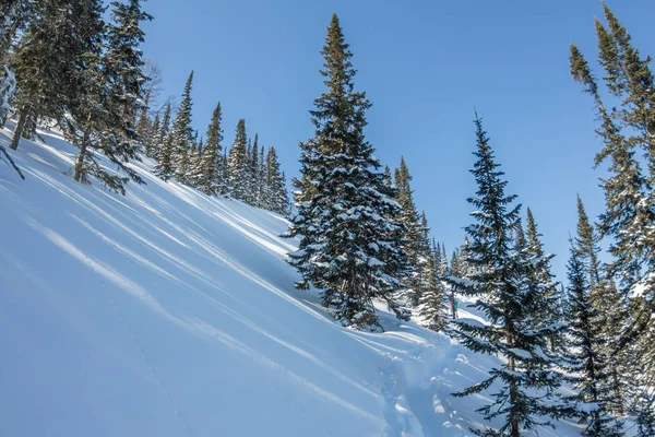 Misteriosas montañas de paisaje invernal en los árboles de invierno cubierto de nieve — Foto de Stock
