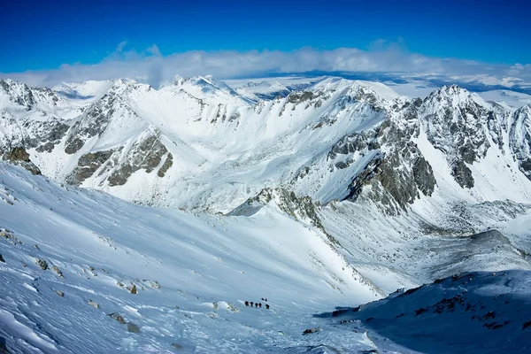 Alpinistas amarrados escalando montanha com campo de neve amarrado com uma corda com machados de gelo e capacetes — Fotografia de Stock