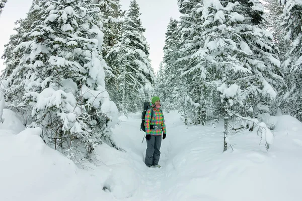 Glückliches Touristenmädchen mit Rucksack spaziert im Winterwald zwischen großen Bäumen — Stockfoto