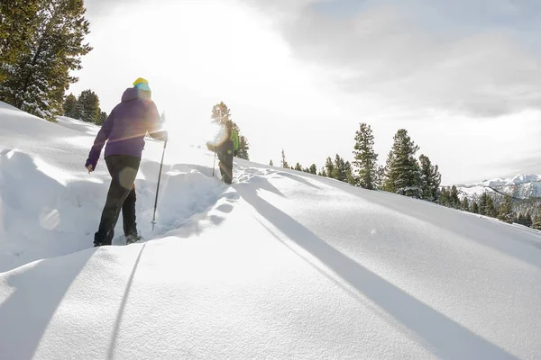 Due donne felici viaggiatore con zaini a piedi nella foresta di montagne invernali — Foto Stock