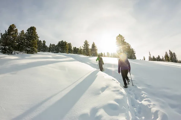 Dos mujeres viajeras felices con mochilas caminando en el bosque de montañas de invierno — Foto de Stock