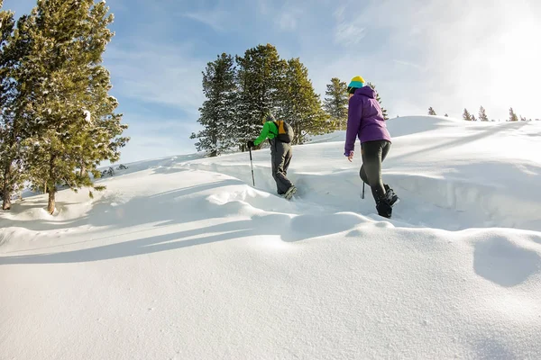 Two happy women traveler with backpacks walking in winter mountains forest — Stock Photo, Image