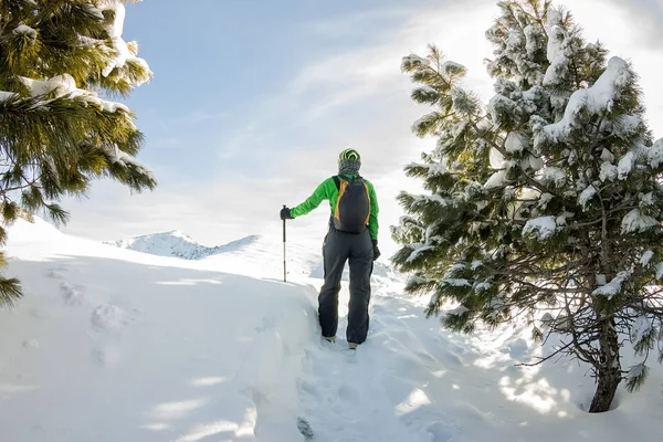 Felice ragazza turistica con uno zaino stand in un inverno mantiene gli alberi — Foto Stock