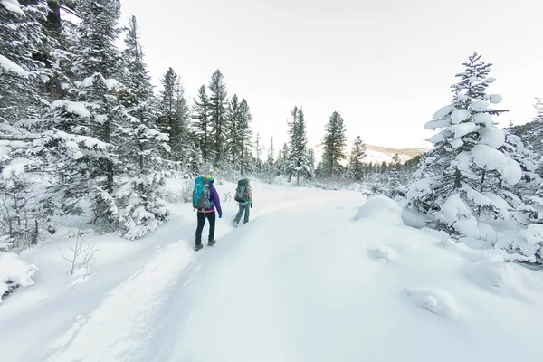 Två glada kvinnor resenären med ryggsäckar promenader i vinter skog — Stockfoto
