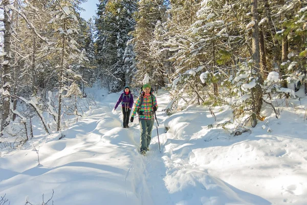 Two happy women traveler with backpacks walking in winter forest — Stock Photo, Image
