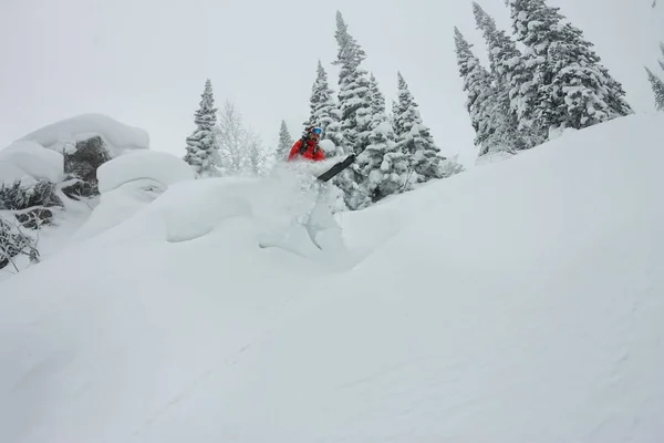 Skier freerider saltando de uma rampa de neve ao sol em um fundo de floresta e montanhas — Fotografia de Stock