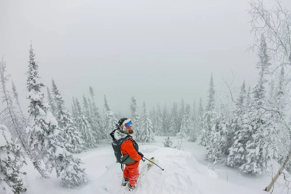 Sırtın üst kısmında ayakta adam. Tur kayağı dağlarda. Macera kış freeride aşırı spor