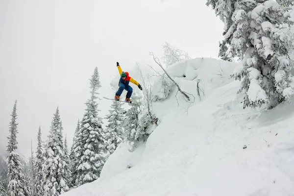 Snowboarder freerider saltando desde una rampa de nieve al sol sobre un fondo de bosque y montañas —  Fotos de Stock
