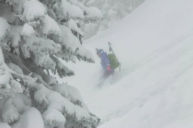 toz kar kar ağaçların arasında Freerider rides.