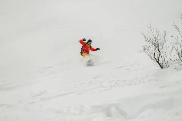 雪中树木间的 freerider 骑 — 图库照片