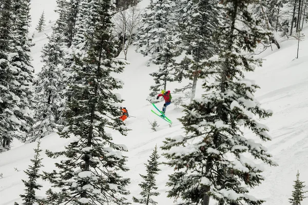 Skier freerider saltando de uma rampa de neve ao sol em um fundo de floresta e montanhas — Fotografia de Stock