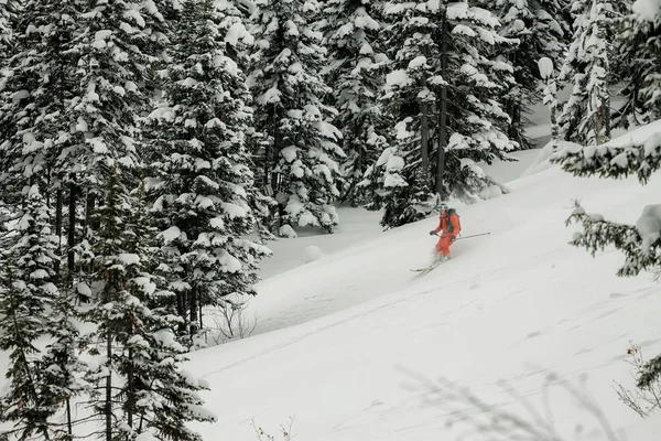 Freerider Rider i pudersnö bland träden i snön — Stockfoto