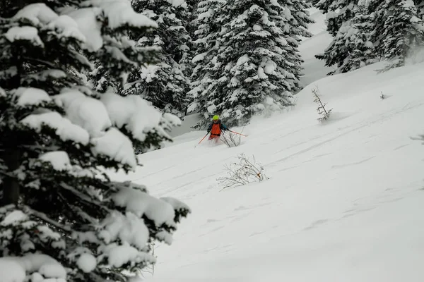 Freerider fahren im Pulverschnee zwischen Bäumen im Schnee — Stockfoto