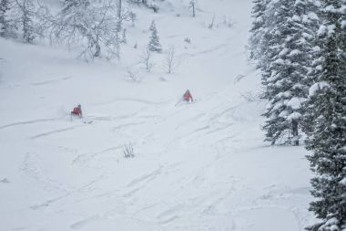 toz kar kar ağaçların arasında Freerider rides.