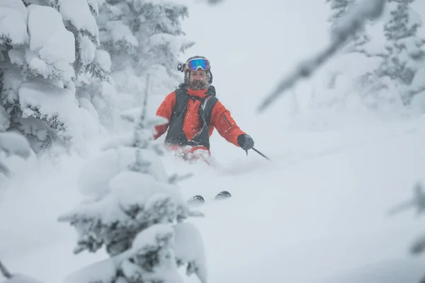 Skier freerider passeios de neve em pó no fundo da floresta e montanhas — Fotografia de Stock