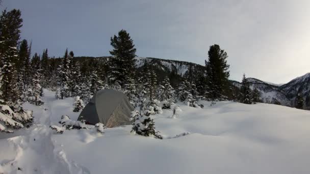 夕暮れ時の雪に覆われた森林のタイムラプス テント — ストック動画