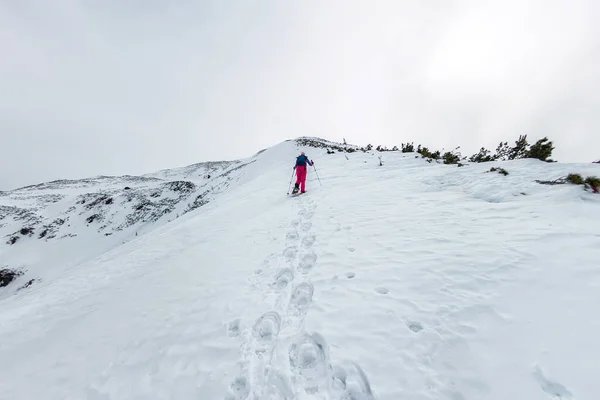 Woman hikeing in the snowy mountains with a phone and snowshoes. and backpack — Stock Photo, Image