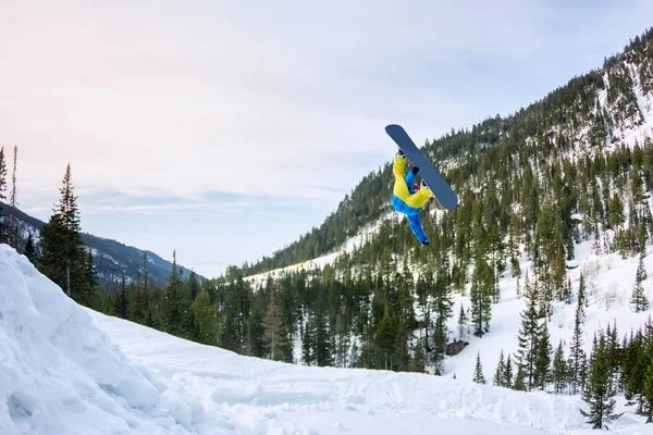 Snowboarder freerider pulando de uma rampa de neve ao sol em um fundo de floresta e montanhas — Fotografia de Stock