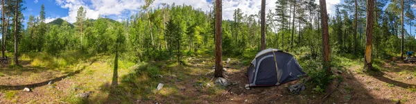 Camping tält panorama i grön sommarskog vid soluppgången. Cylindriskt panorama 360 — Stockfoto