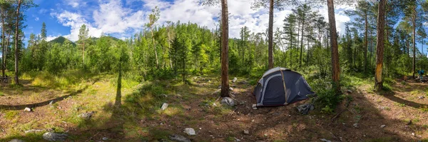 日出时分，在绿色的夏季森林里露营帐篷的全景。圆柱形全景360 图库图片