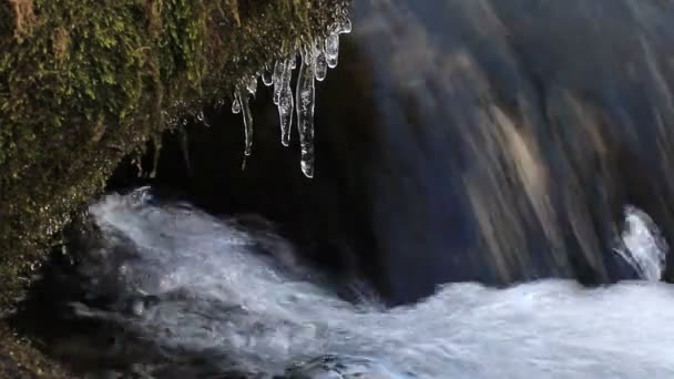 Smältande is med droppande vatten från istappar mot bakgrund av rinnande flodvatten — Stockvideo