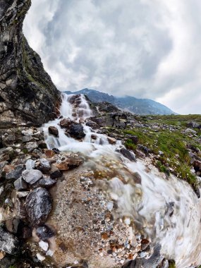 Dağdaki şelale, vadideki çiçeklerin sisli yağmurlu havasında.