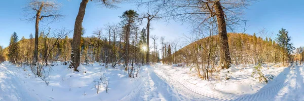 Straße im Winterwald im Morgengrauen. Zylindrisches Panorama 360 — Stockfoto