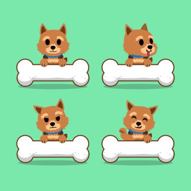 Çizgi film karakteri norwich terrier köpek büyük kemikleri