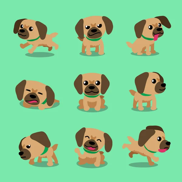 Personaje de dibujos animados tibetano spaniel dog poses — Vector de stock